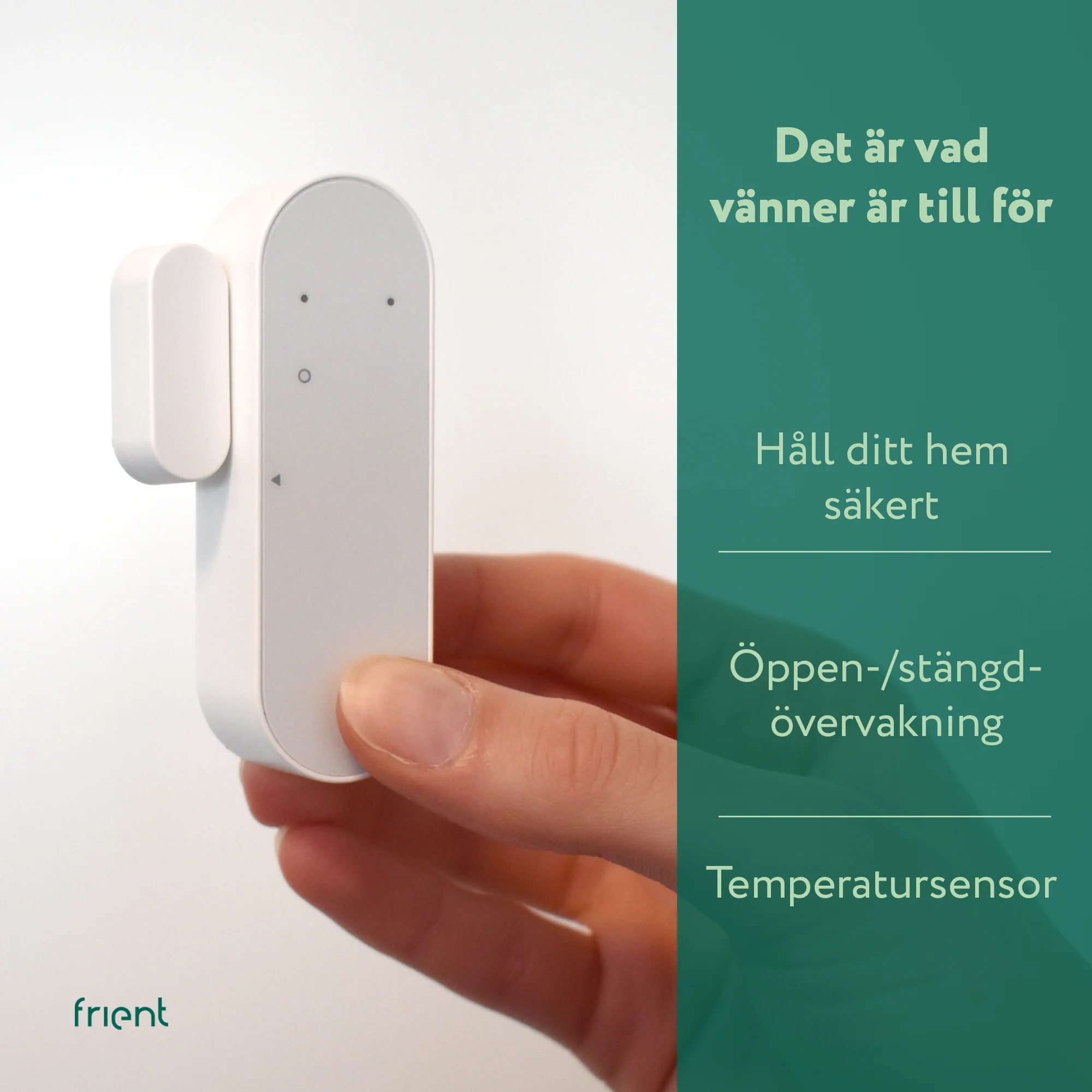 Miniatyrbild 3