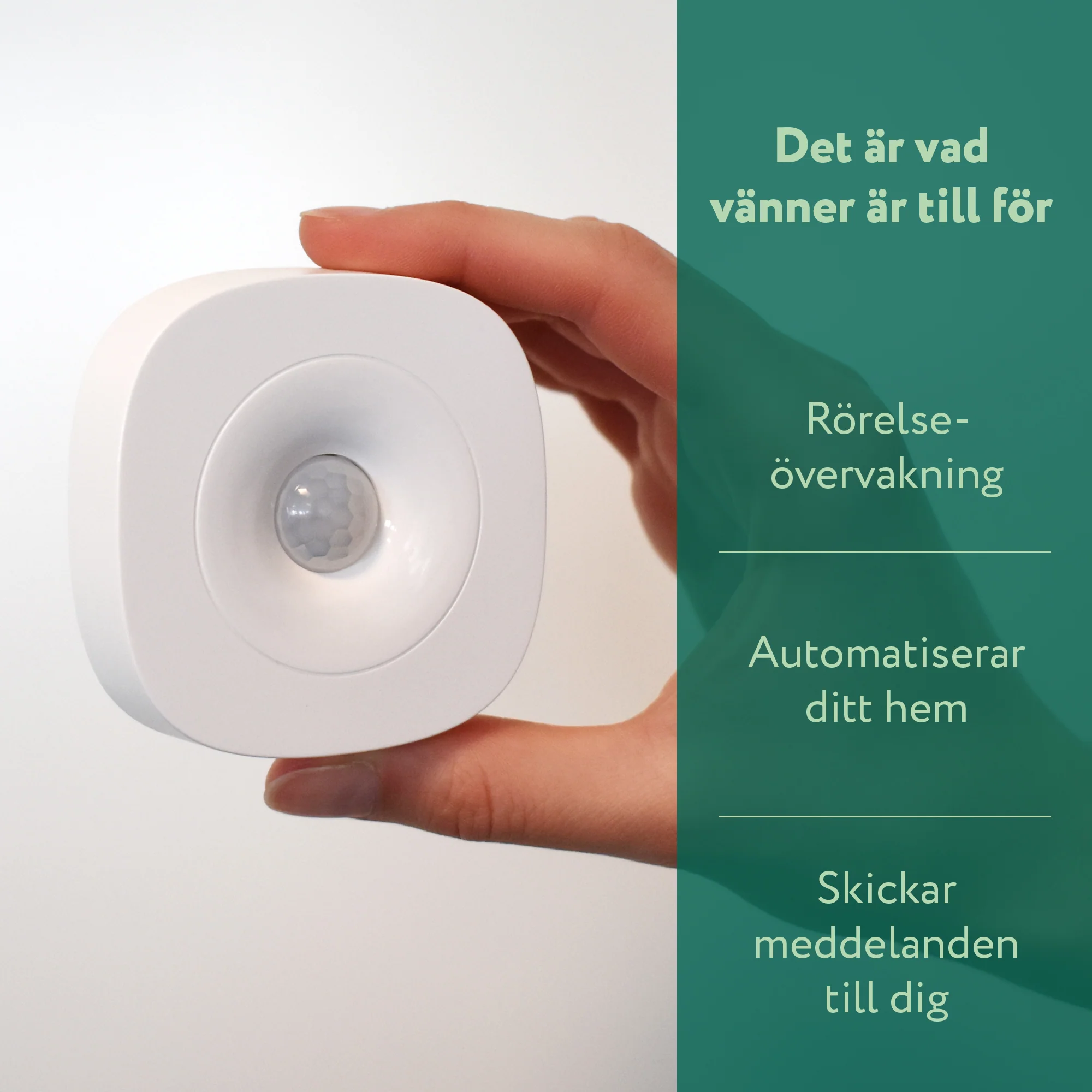 Miniatyrbild 8
