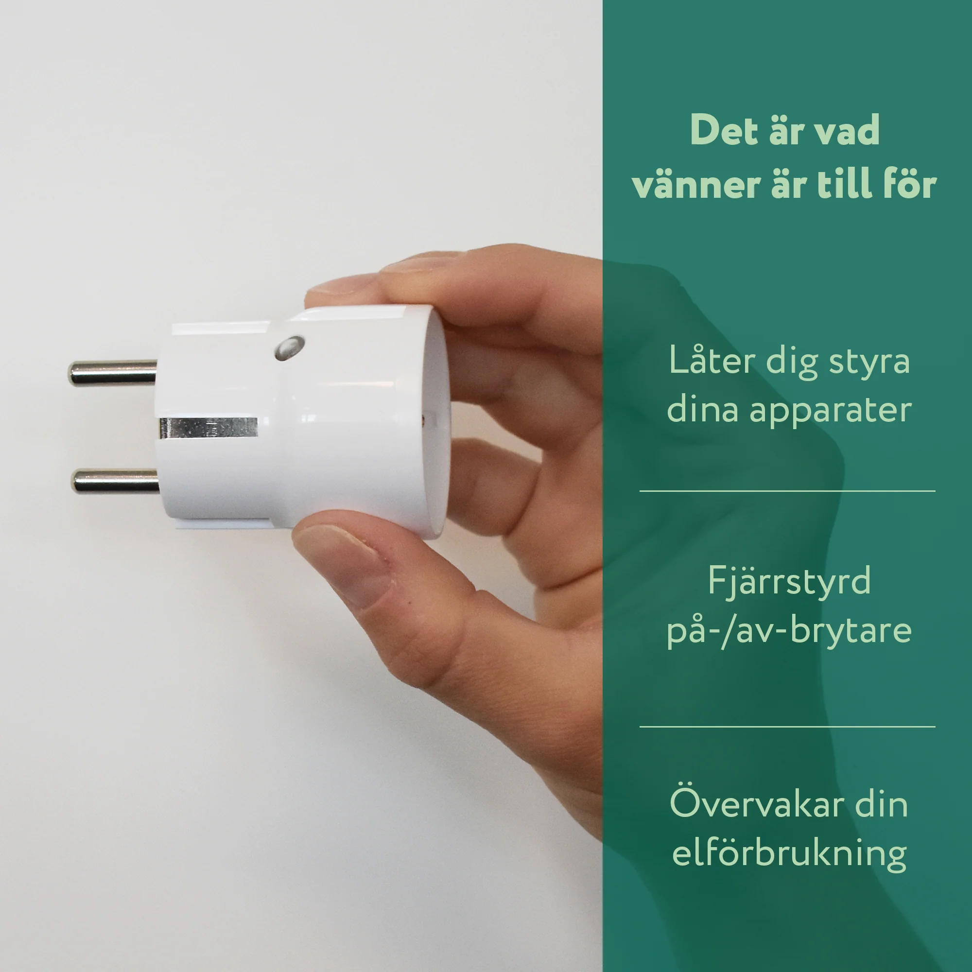Miniatyrbild 5