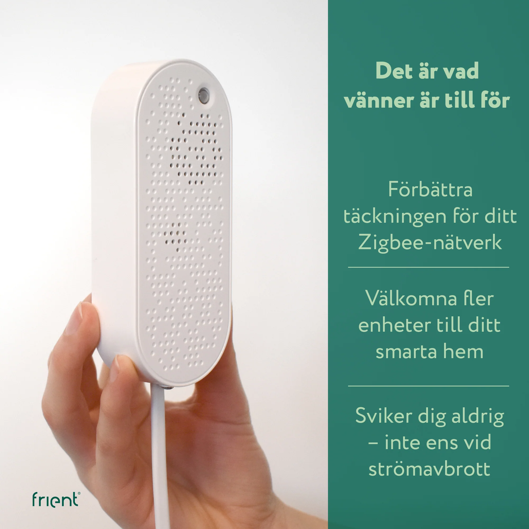 Miniatyrbild 8